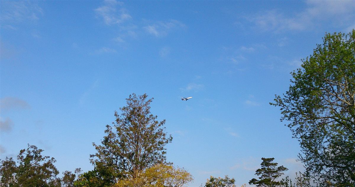 Airplane in flight